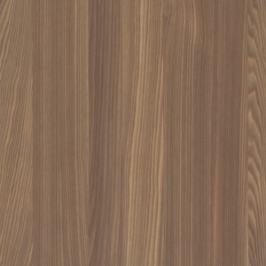 European Larch