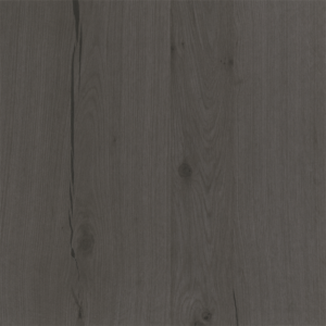 Shadow Oak