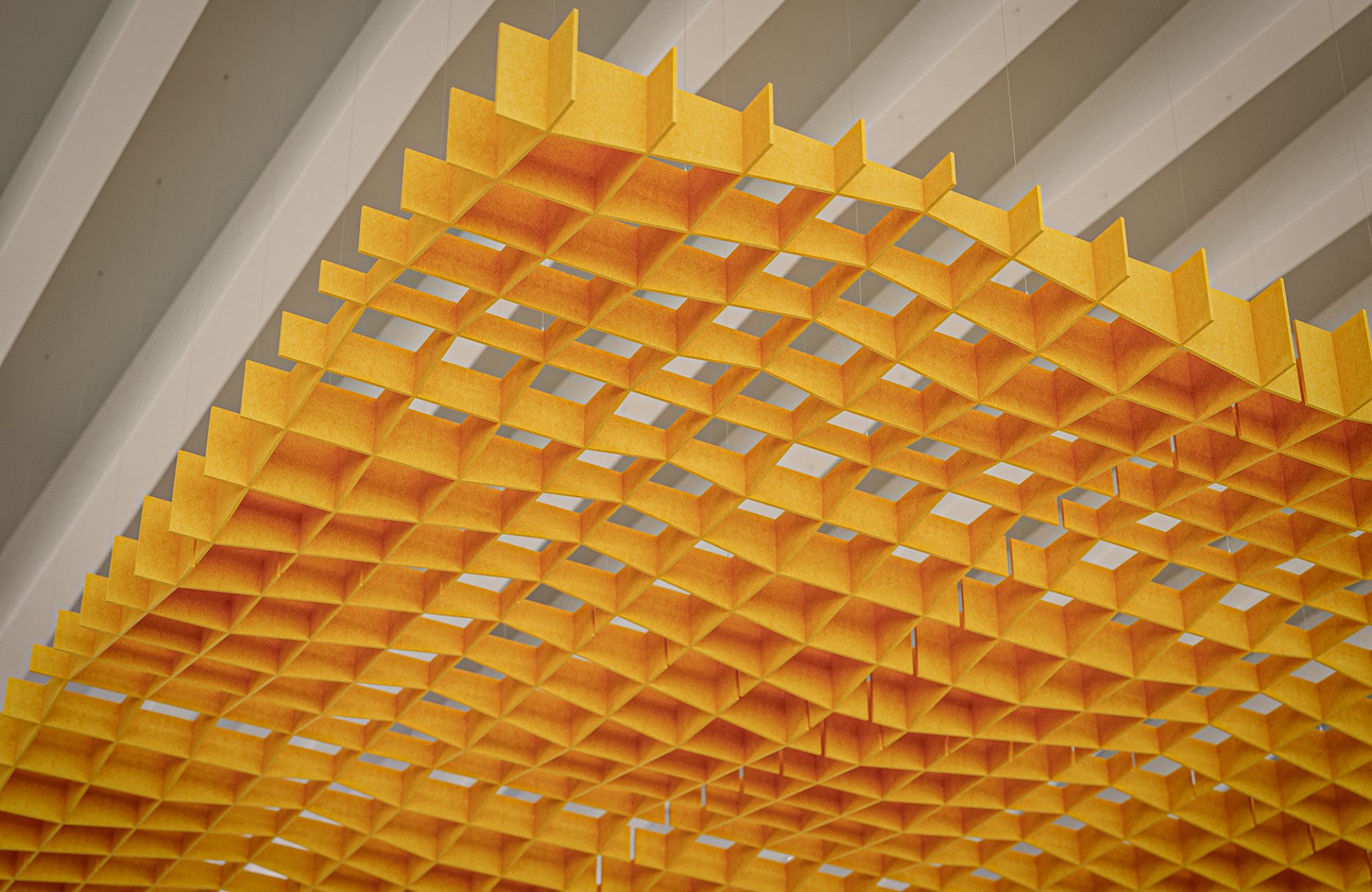 Interlace, Network Ceiling Clouds | Carrot | Premier Collection