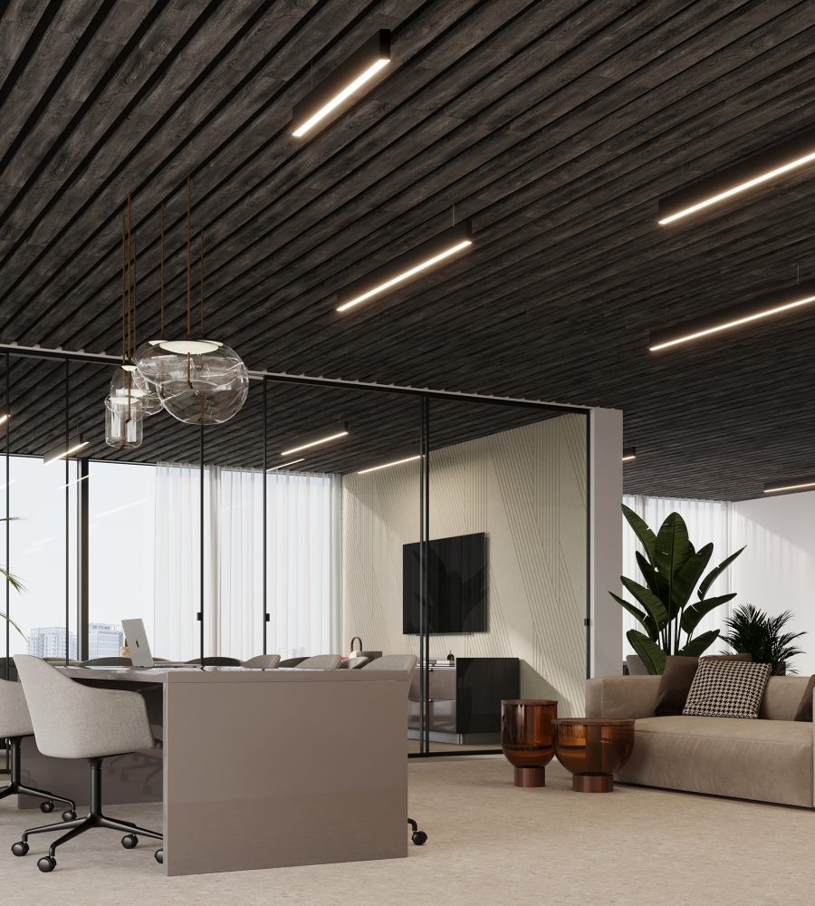 SoftenUp, Ridge Ceiling Frames | Charred Larch | WoodGrain Collection