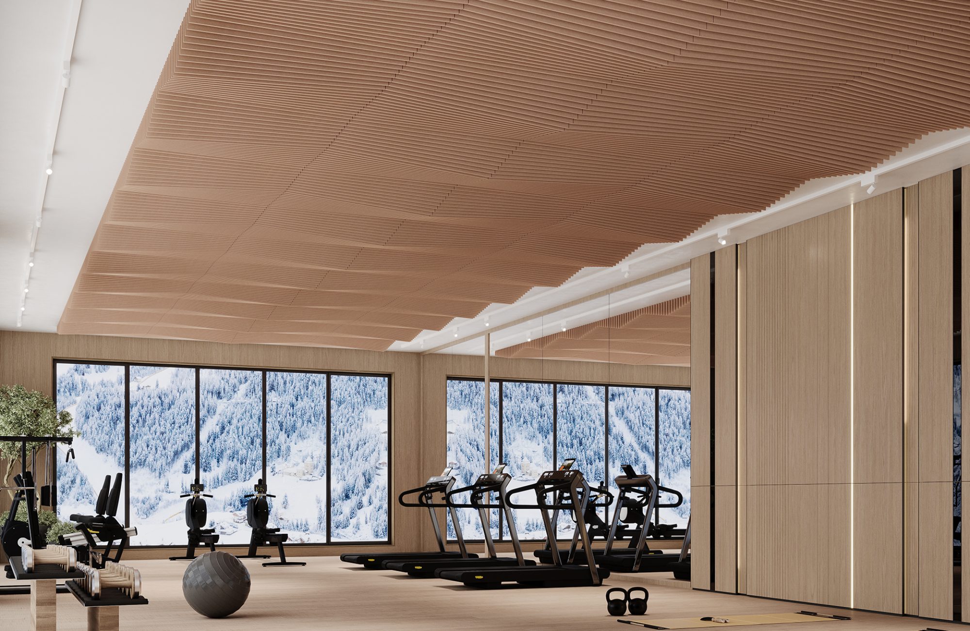 Rail, Line Ceiling Frames | Quartz | Premier Collection