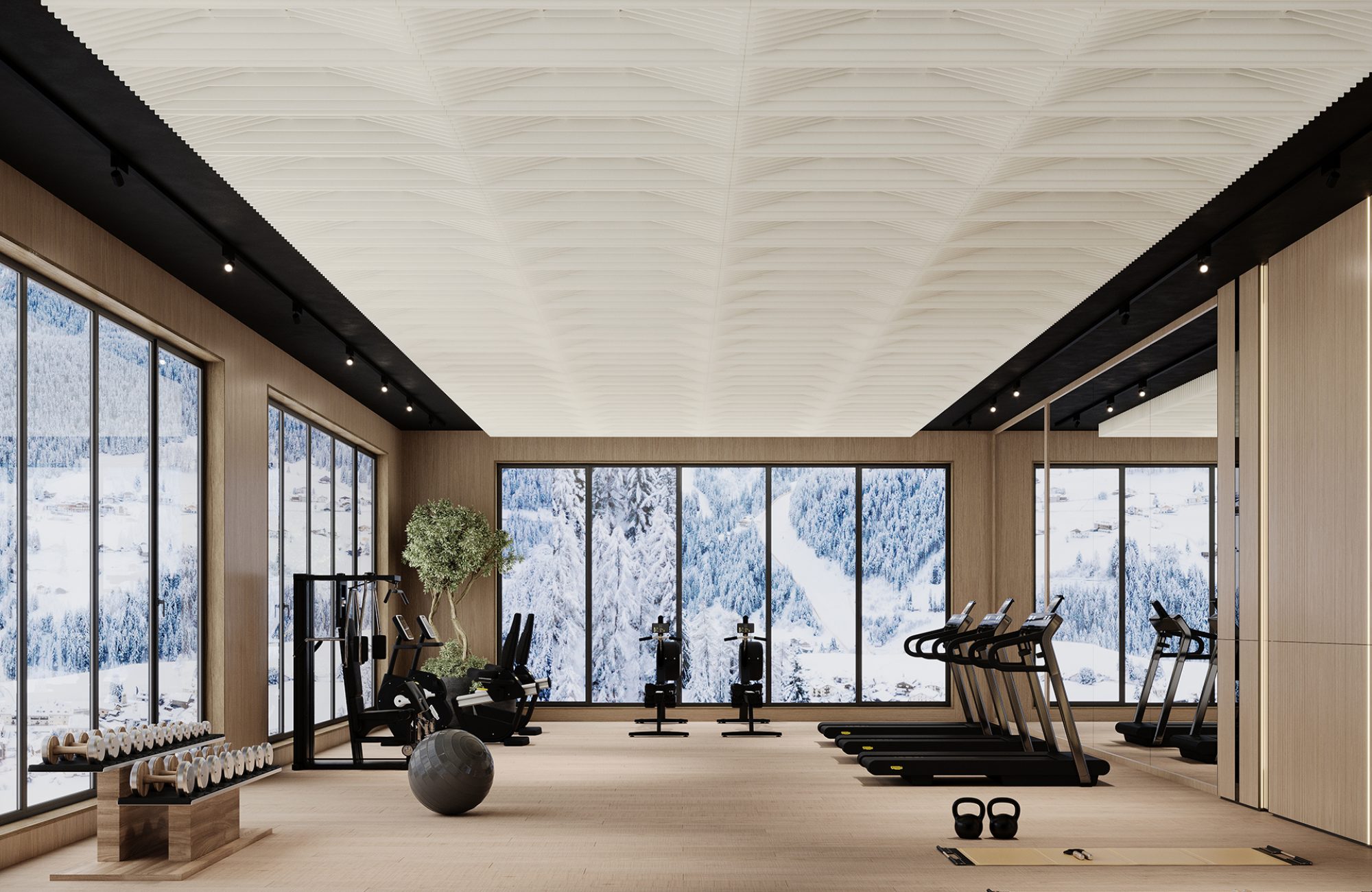 Rail, Platform Ceiling Frames | White | Premier Collection