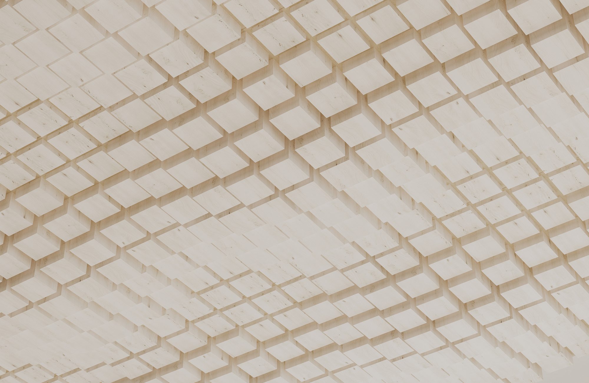 Vista, Oceanic Ceiling Frame | White Elm | WoodGrain Collection