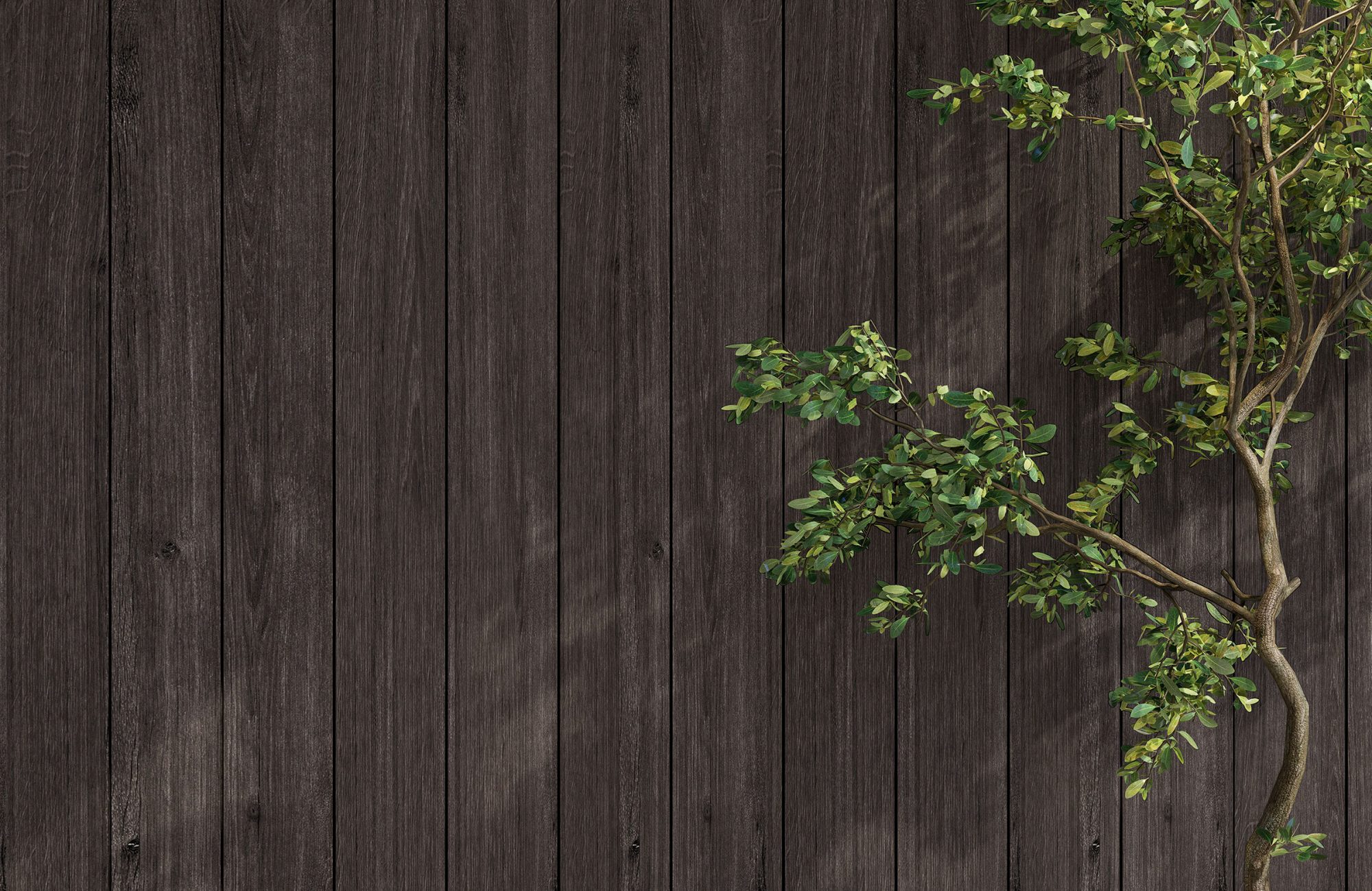 WoodBeQuiet 203mm Wall Slats | Barn Door with Black V-Cut | WoodGrain Collection