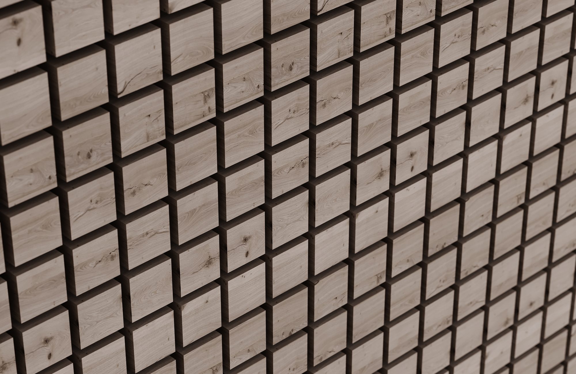 Vista, Desert Wall Tiles | Shadow Oak, Piano Black | WoodGrain, Premier Collections