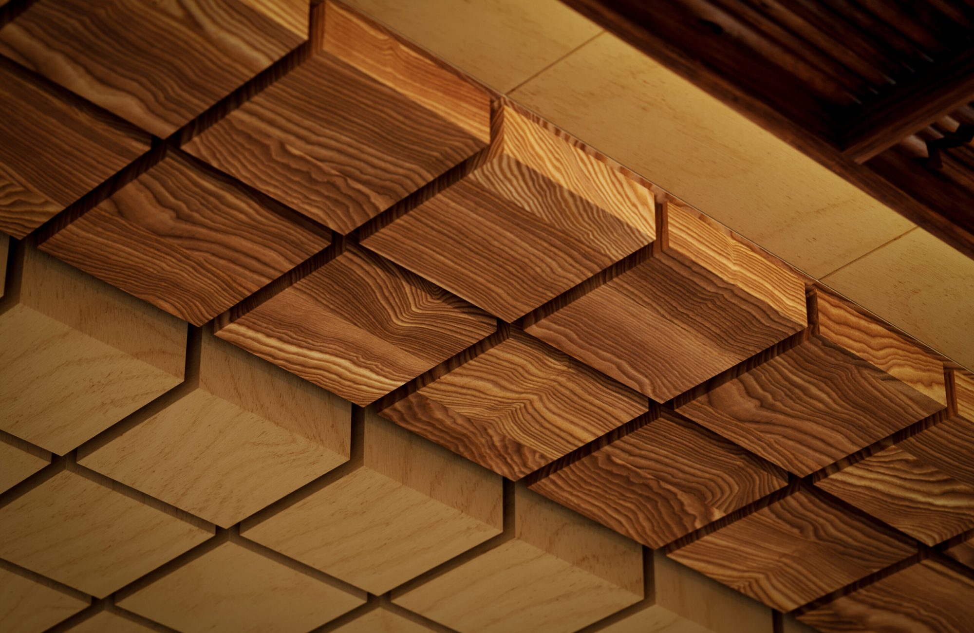 Vista, Desert Ceiling Frame | Baltic Birch & European Larch | WoodGrain Collection