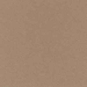 FilaSorb-Umber-Scan-opt