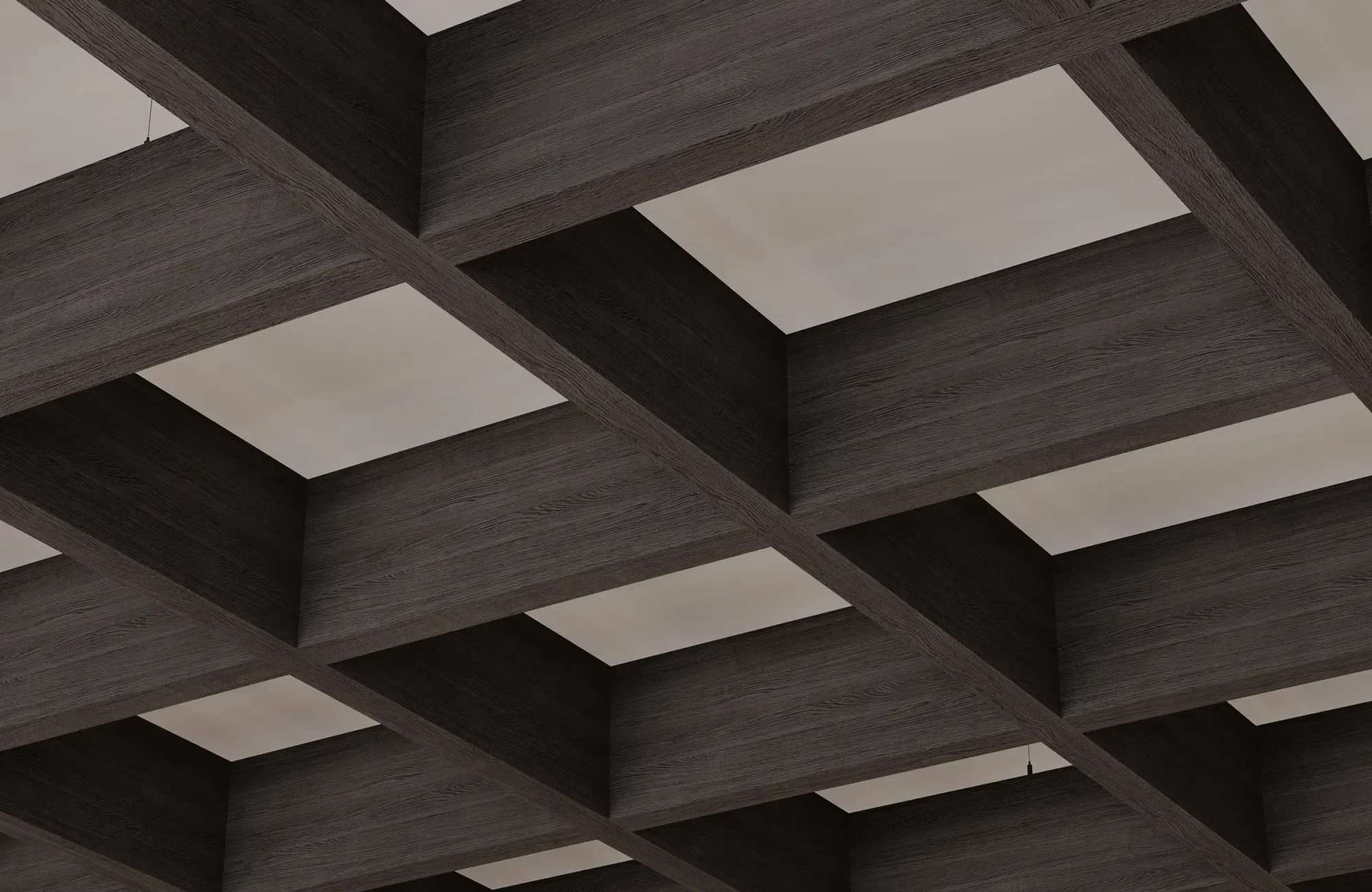 Framework Open Ceiling Grids | WoodGrain Collection | Charred Larch