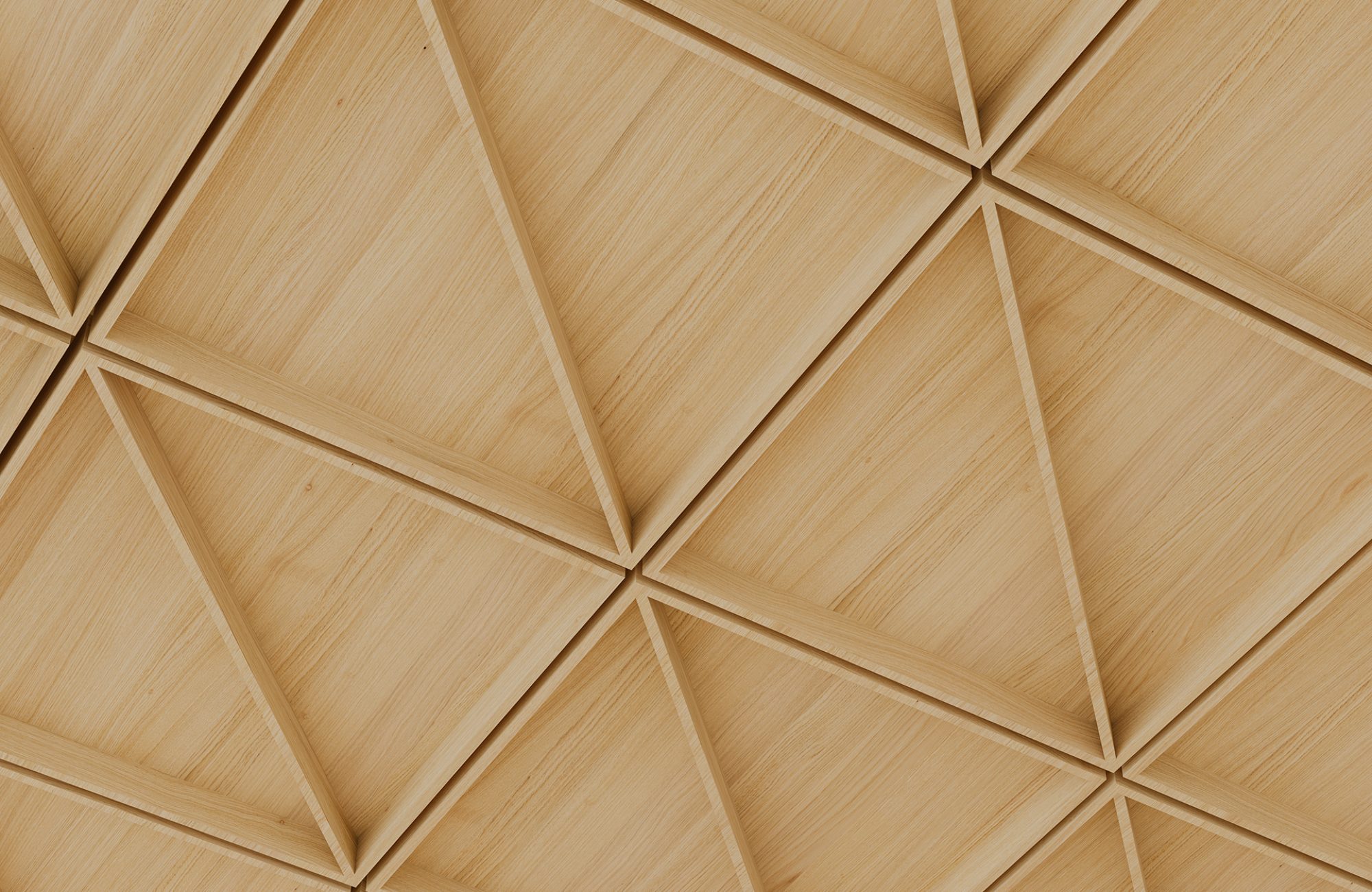 Recess, Cleft Ceiling Frame | Natural Oak | WoodGrain Collection