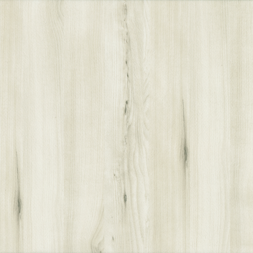 WQ07_White-Elm_24x24
