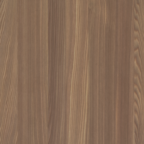 WQ17_European-Larch_24x24